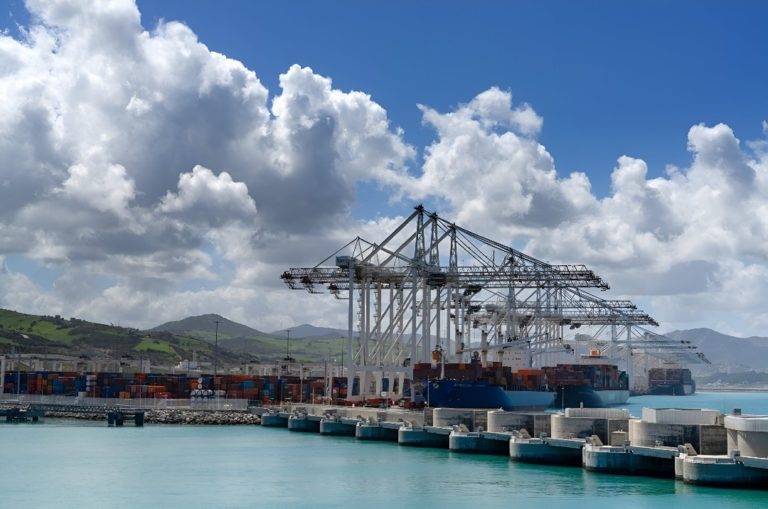 Wmremove Transformed (13)