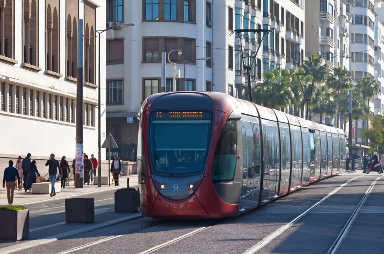 Wmremove Transformed (14)